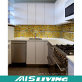 Европейский Стиль природный Цвет кухонных шкафов мебели (АИС-K295)